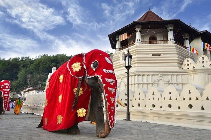 Private Day Tour Of Kandy From Galle by Sigiritrip Tours. - Sri Lanka